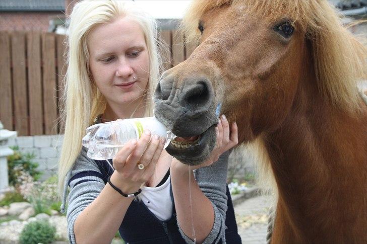 Vores bette hest var en tur inden for :D billede 9