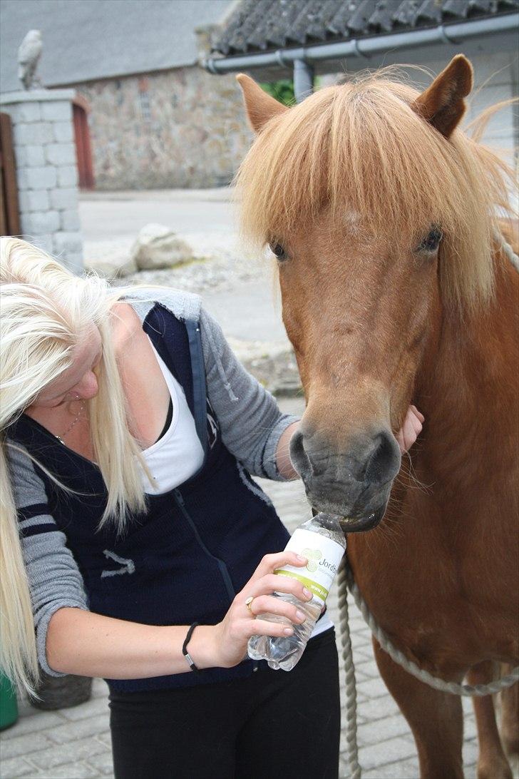 Vores bette hest var en tur inden for :D billede 10