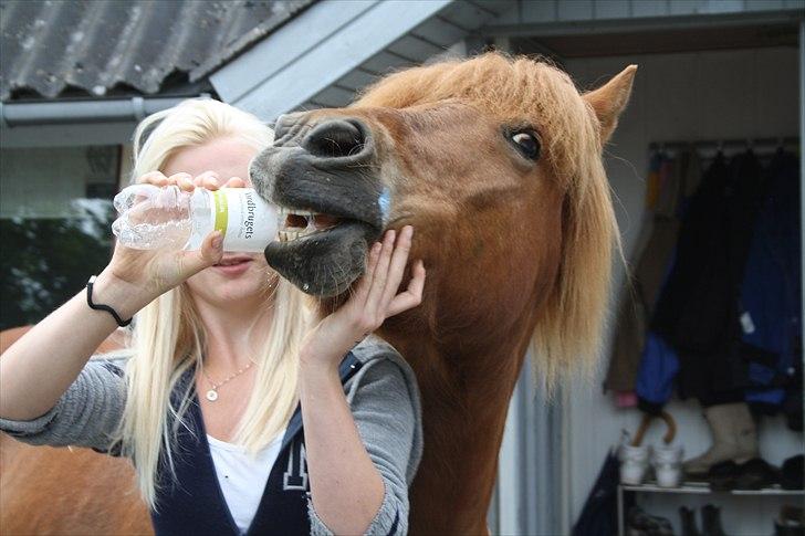 Vores bette hest var en tur inden for :D billede 11