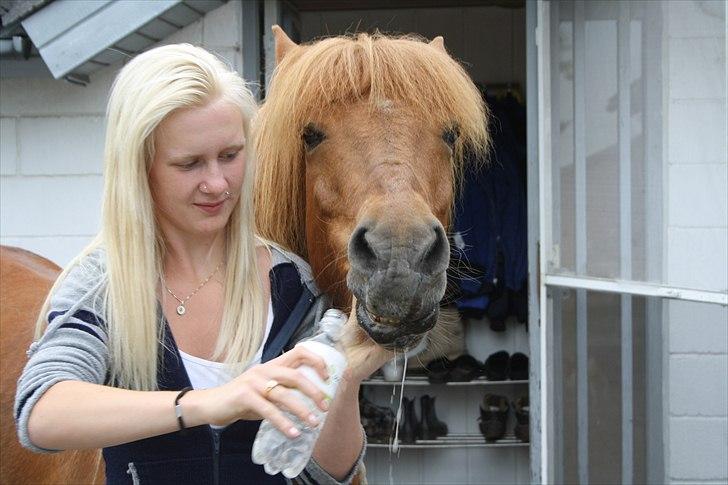 Vores bette hest var en tur inden for :D billede 12