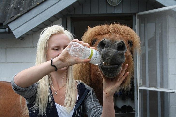 Vores bette hest var en tur inden for :D billede 13