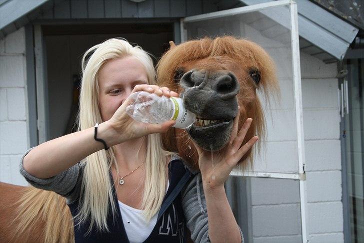 Vores bette hest var en tur inden for :D billede 14