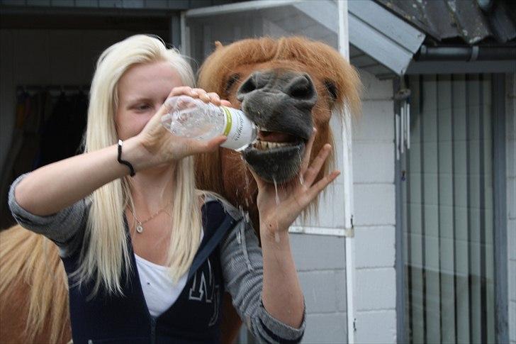 Vores bette hest var en tur inden for :D billede 15