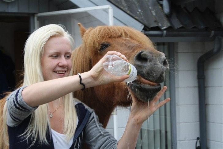 Vores bette hest var en tur inden for :D billede 16