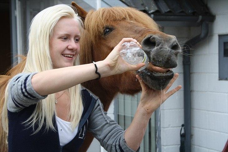 Vores bette hest var en tur inden for :D billede 17