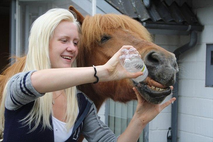 Vores bette hest var en tur inden for :D billede 18