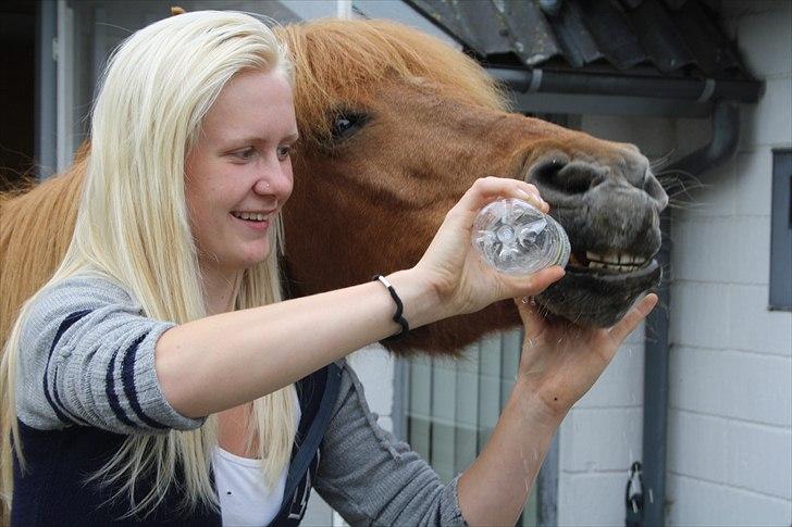 Vores bette hest var en tur inden for :D billede 19