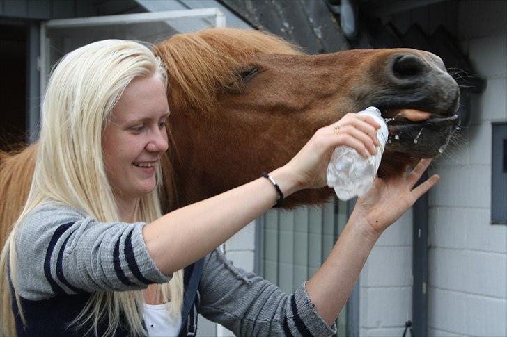 Vores bette hest var en tur inden for :D billede 20