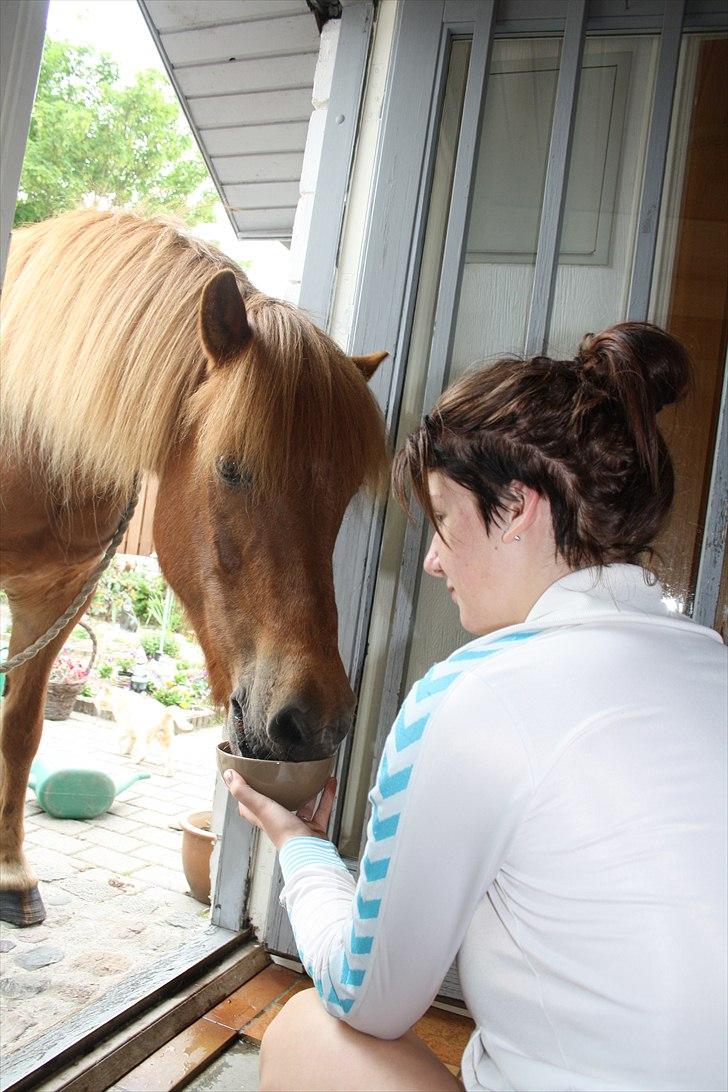 Vores bette hest var en tur inden for :D billede 22