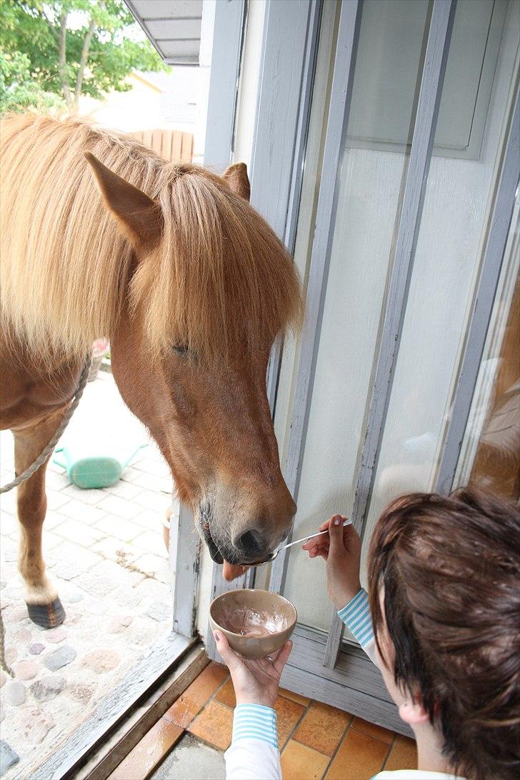 Vores bette hest var en tur inden for :D billede 24