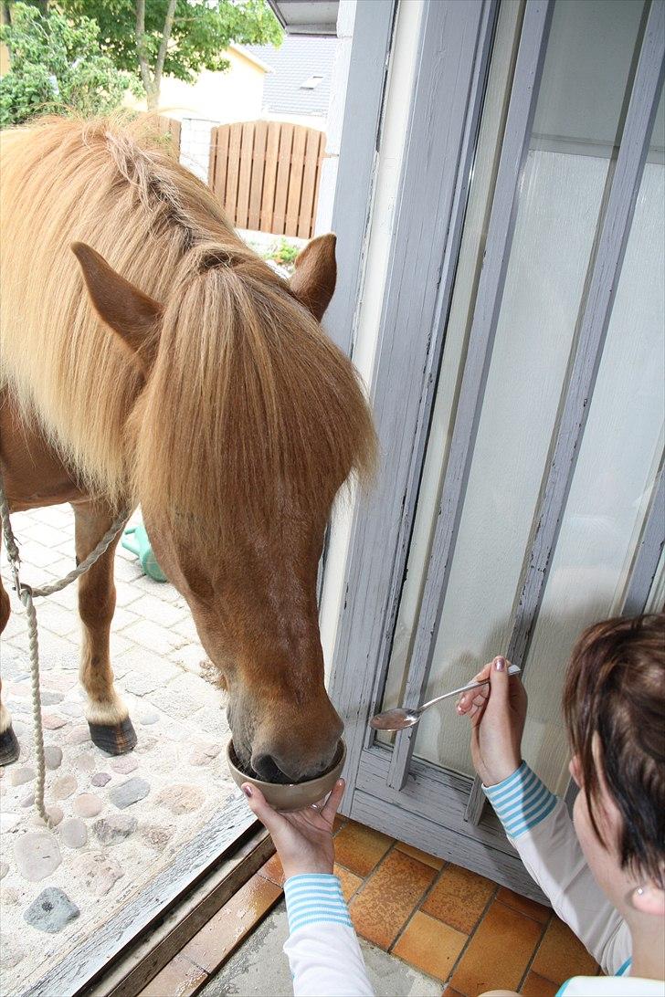 Vores bette hest var en tur inden for :D billede 25