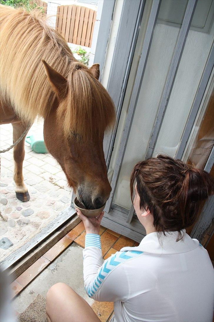 Vores bette hest var en tur inden for :D billede 30