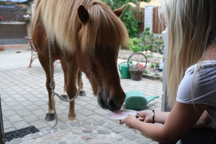 Vores bette hest var en tur inden for :D billede 31