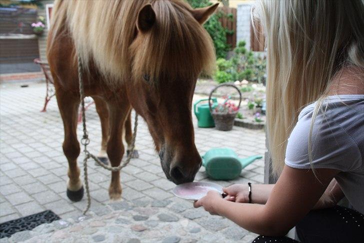 Vores bette hest var en tur inden for :D billede 32