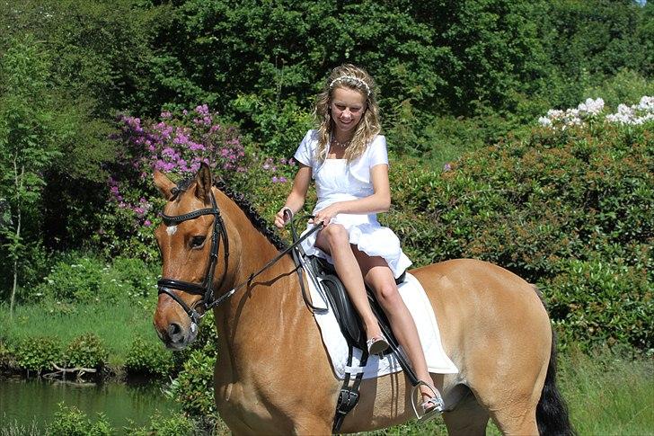 Min konfirmation  billede 7