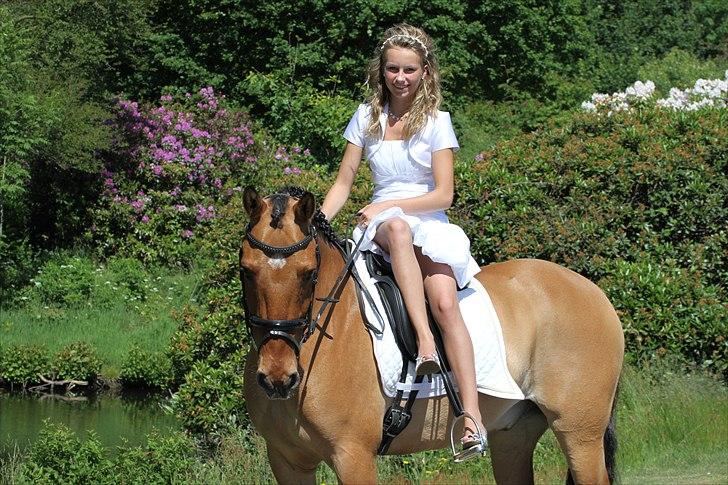 Min konfirmation  billede 9