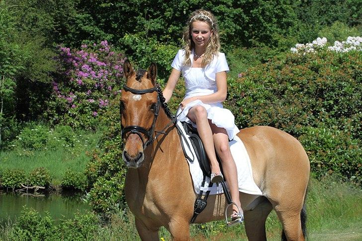 Min konfirmation  billede 11