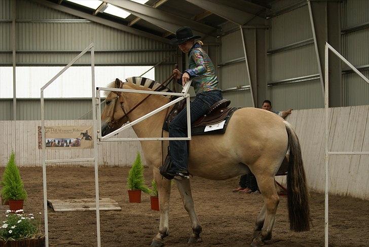 Western stævne d. 29/5-11 - Trail - På vej igennem låge :) billede 1