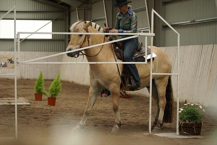 Western stævne d. 29/5-11 - Trail billede 2