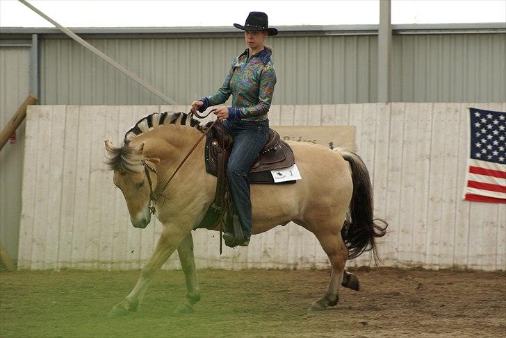 Western stævne d. 29/5-11 - Trail - Galop op til Lét billede 3