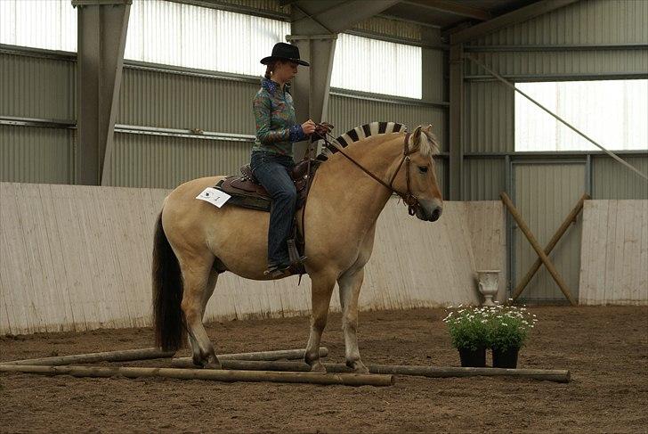 Western stævne d. 29/5-11 - Trail - Wow - Stop trolde... billede 4