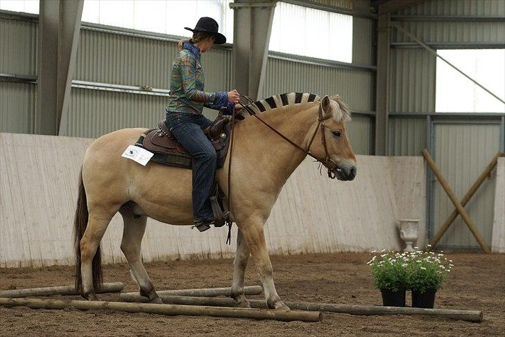 Western stævne d. 29/5-11 - Trail - At bakke igennem :) billede 5