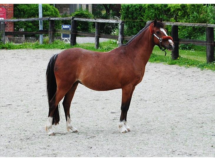 {{currentPhoto.altText}} billede {{currentPhoto.number}}