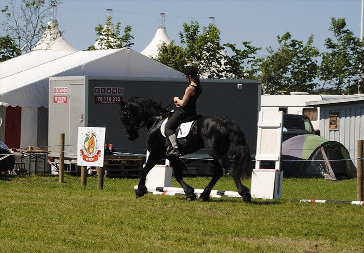 Hjallerup marked | Hingste opvisning | Lukas og jeg billede 2