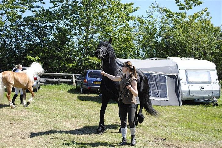 Hjallerup marked | Hingste opvisning | Lukas og jeg billede 3
