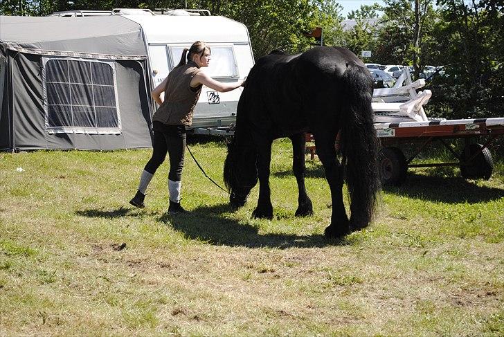 Hjallerup marked | Hingste opvisning | Lukas og jeg billede 4