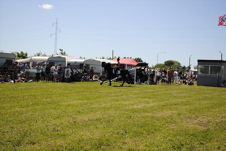 Hjallerup marked | Hingste opvisning | Lukas og jeg billede 17