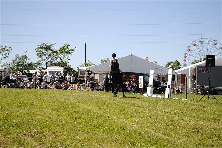 Hjallerup marked | Hingste opvisning | Lukas og jeg billede 18