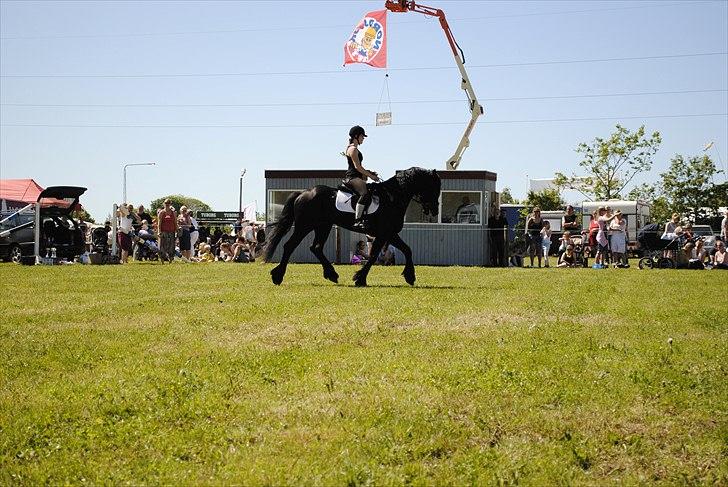 Hjallerup marked | Hingste opvisning | Lukas og jeg billede 19