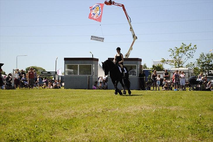 Hjallerup marked | Hingste opvisning | Lukas og jeg billede 20