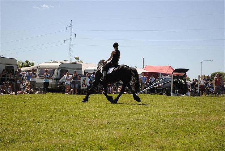 Hjallerup marked | Hingste opvisning | Lukas og jeg billede 21