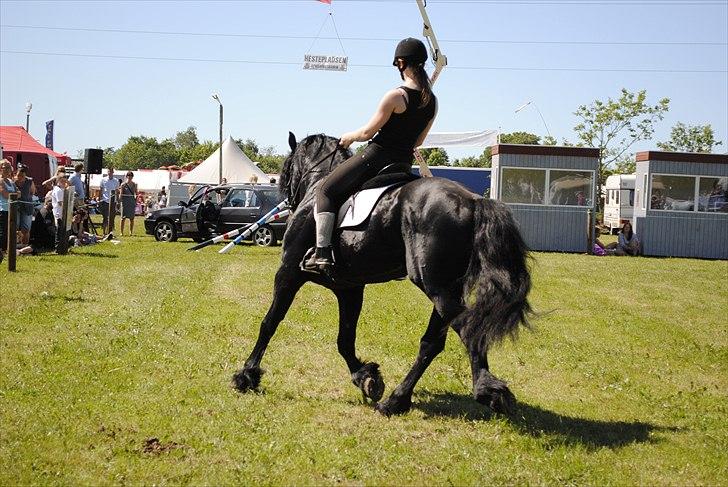 Hjallerup marked | Hingste opvisning | Lukas og jeg billede 22