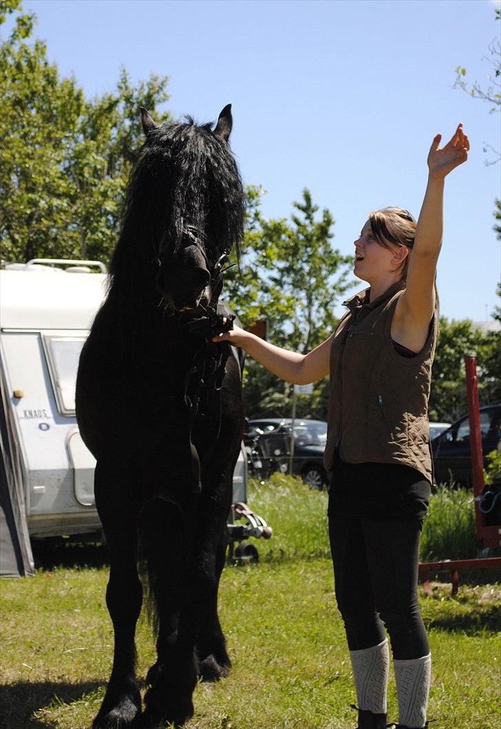 Hjallerup marked | Hingste opvisning | Lukas og jeg billede 26