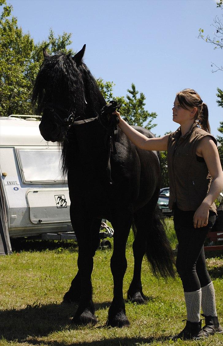 Hjallerup marked | Hingste opvisning | Lukas og jeg billede 27