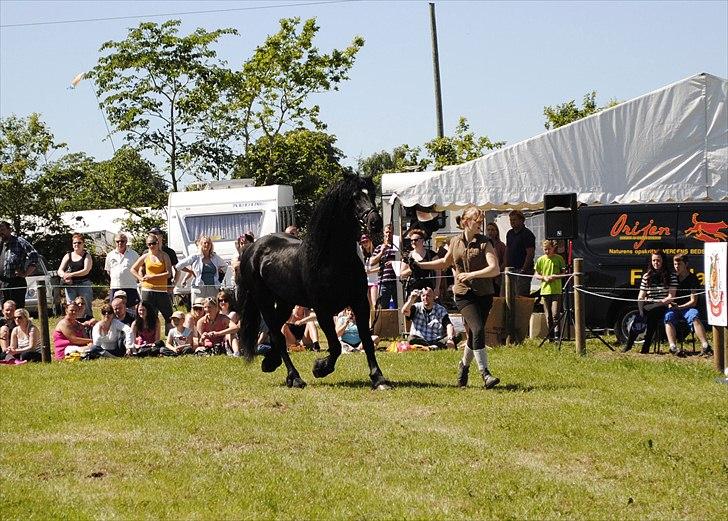 Hjallerup marked | Hingste opvisning | Lukas og jeg billede 28