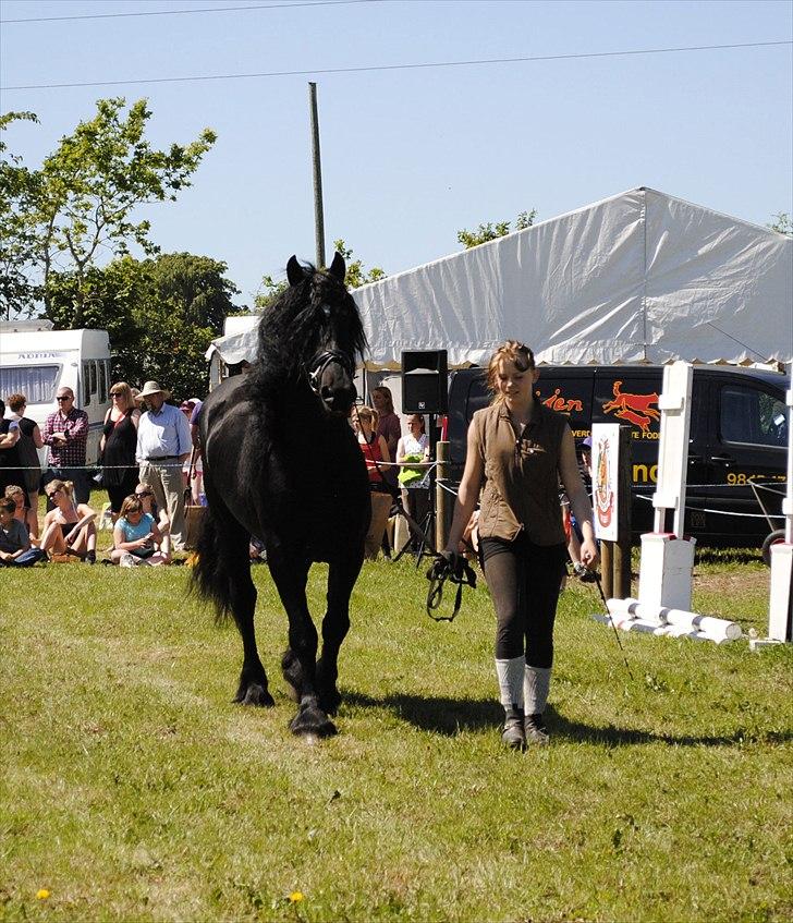 Hjallerup marked | Hingste opvisning | Lukas og jeg billede 29