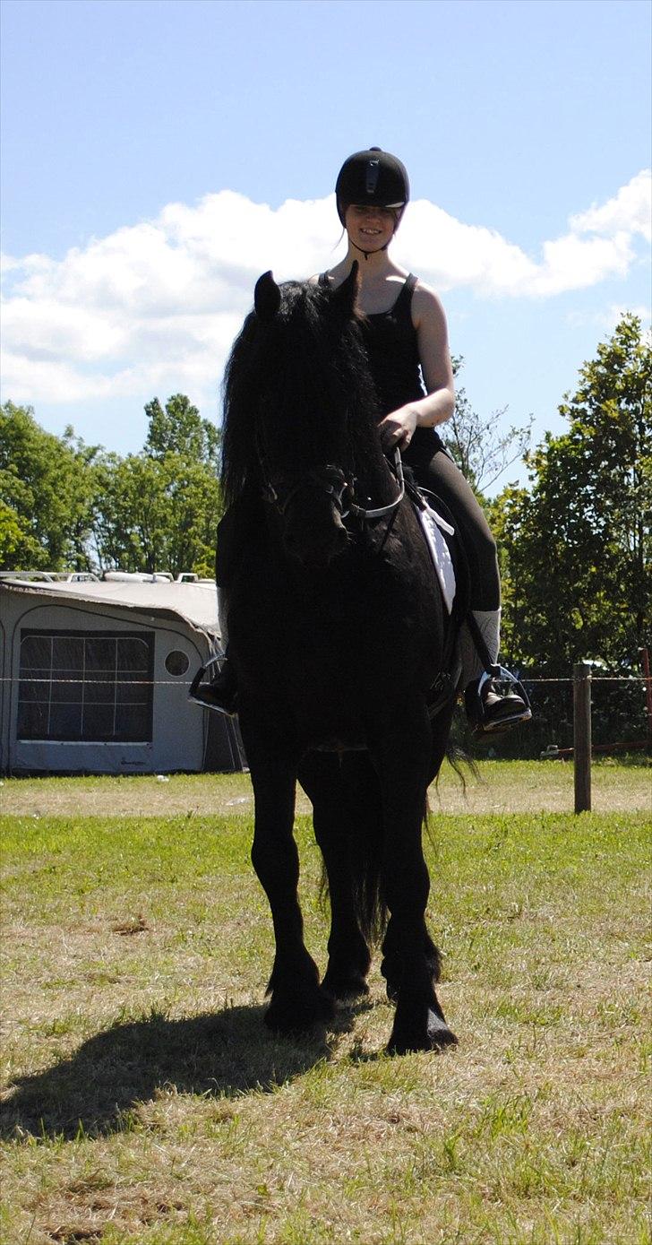 Hjallerup marked | Hingste opvisning | Lukas og jeg billede 32