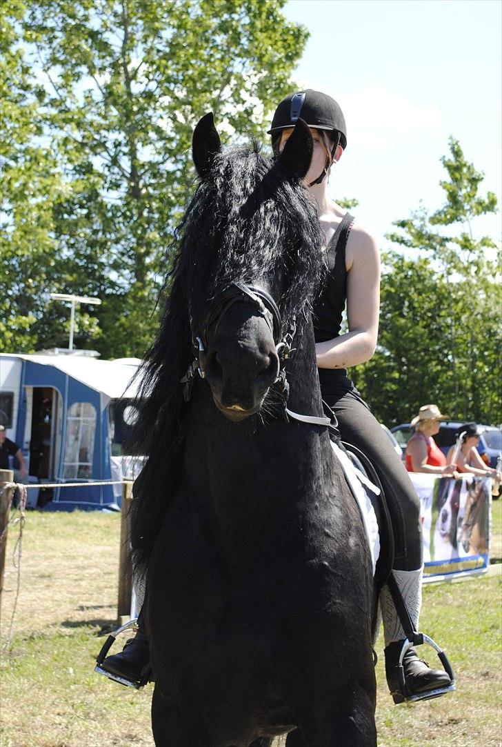 Hjallerup marked | Hingste opvisning | Lukas og jeg billede 33