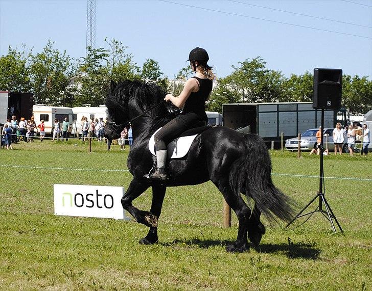 Hjallerup marked | Hingste opvisning | Lukas og jeg billede 34