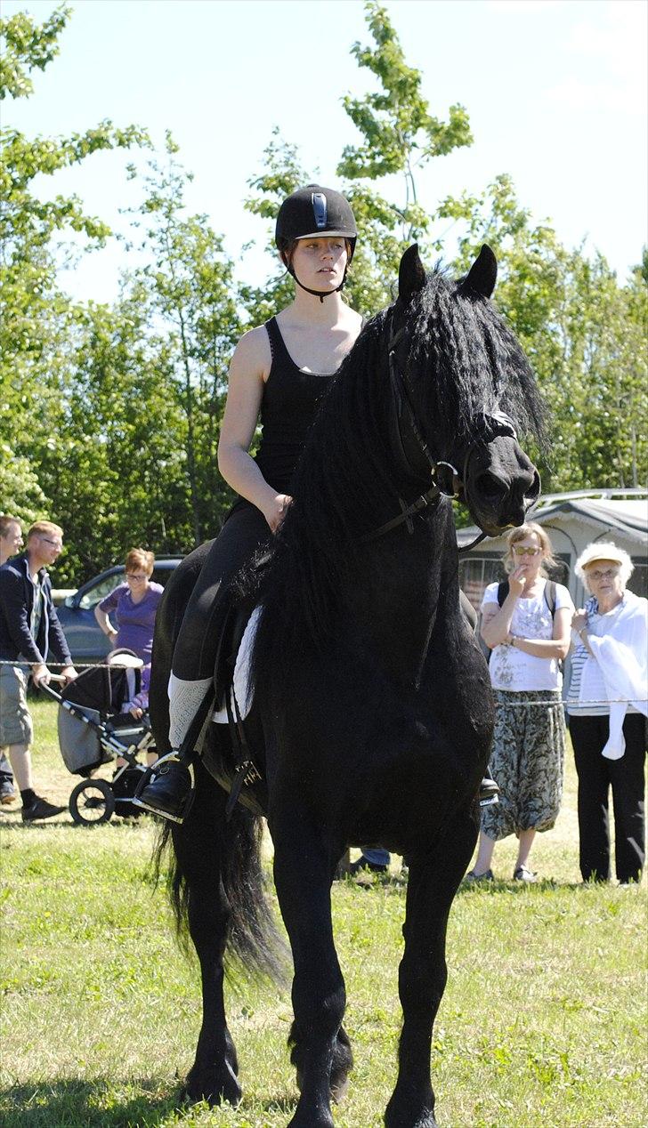 Hjallerup marked | Hingste opvisning | Lukas og jeg billede 35
