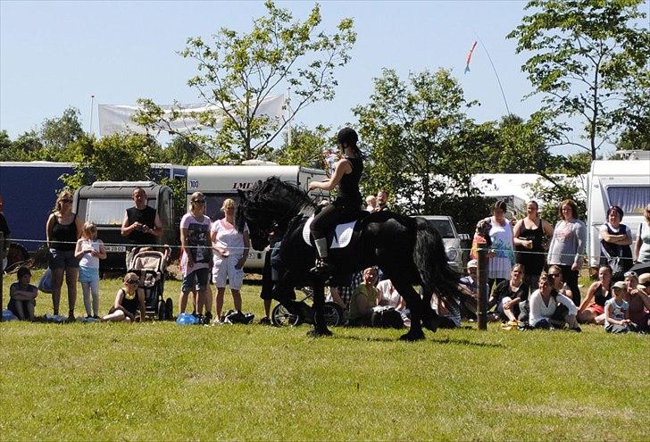 Hjallerup marked | Hingste opvisning | Lukas og jeg billede 36