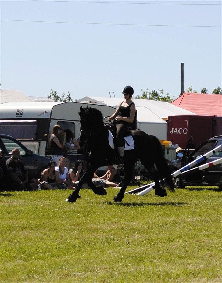 Hjallerup marked | Hingste opvisning | Lukas og jeg billede 37