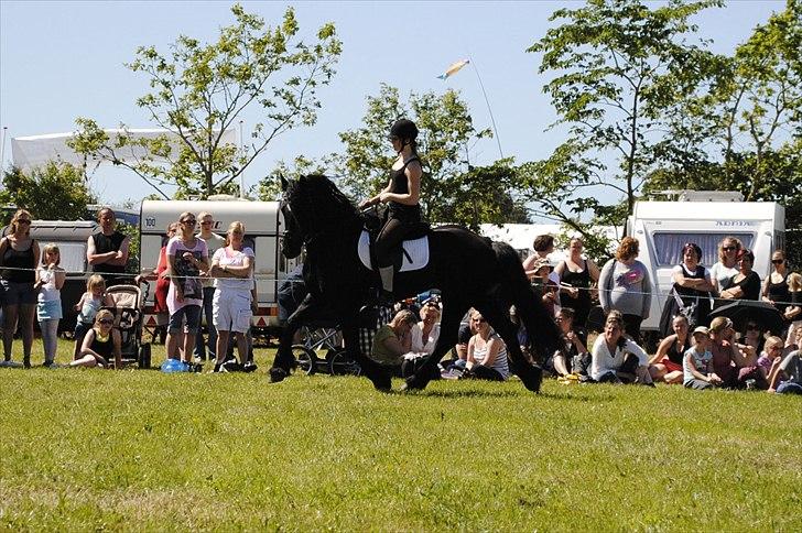Hjallerup marked | Hingste opvisning | Lukas og jeg billede 40