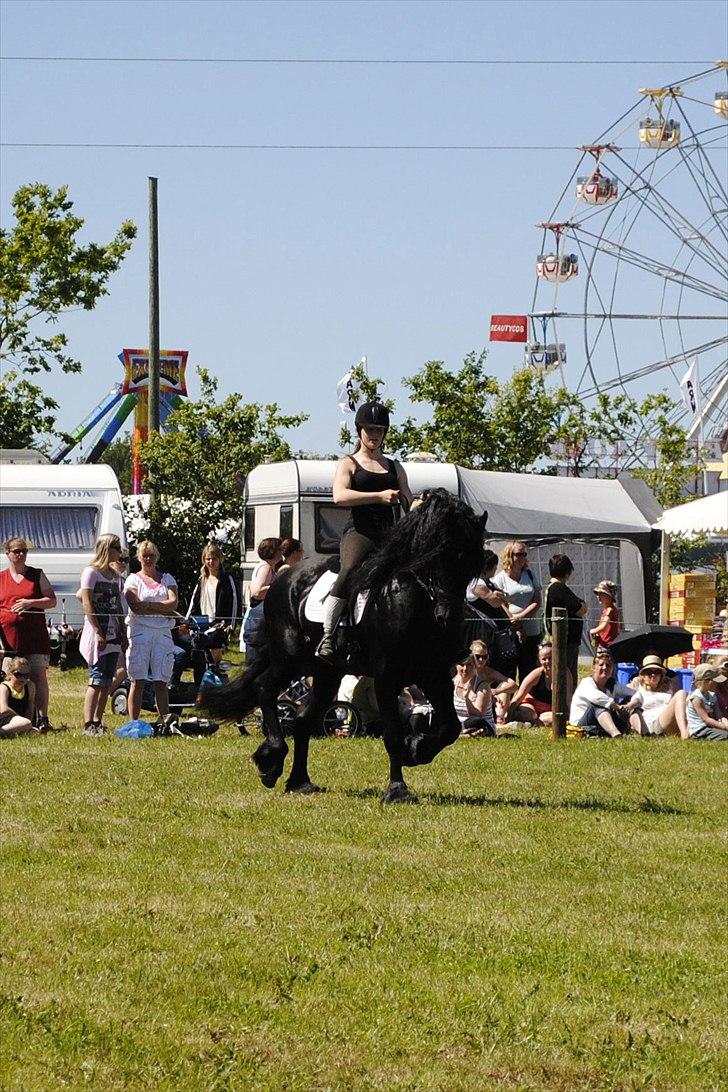 Hjallerup marked | Hingste opvisning | Lukas og jeg billede 42