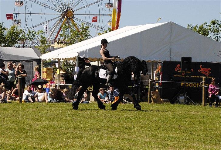 Hjallerup marked | Hingste opvisning | Lukas og jeg billede 43