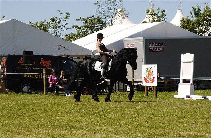 Hjallerup marked | Hingste opvisning | Lukas og jeg billede 44